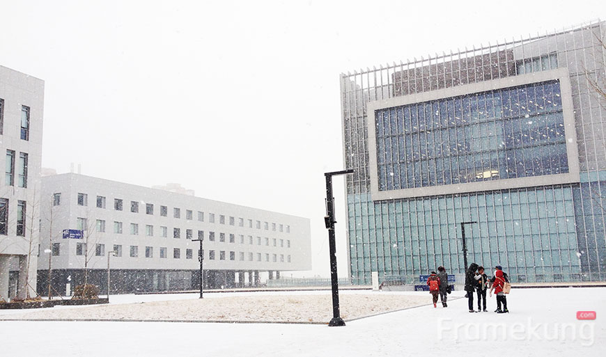 snow-in-yonsei-international-campus